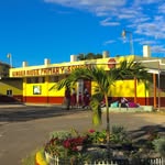 Ginger Ridge_Primary - @gingerridgeprimary_official - Instagram