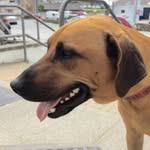 @ginger_ridge_roscoe - Instagram