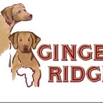 Katarzyna Oporowska-Moszyk - @gingerridge_rhodesian - Instagram