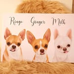 りんごとジンジャーとミルク - @ringo_ginger - Instagram