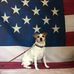 Ginger Ritchie - Facebook