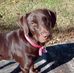 Ginger Robbins - Facebook