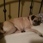 Ginger Roberts - @gin.ren.rob - Instagram