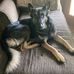Ginger Roberts - Facebook
