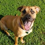 Ginger Roberts - @ginger_bmc - Instagram
