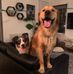 Ginger Robinson Lyord - Facebook