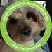 Ginger Roush - Facebook