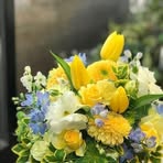 Ginger Schultz - Facebook