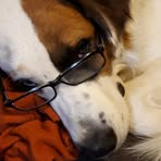 Ginger Schultz - Facebook