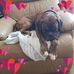 Virginia Schuster - Facebook