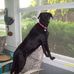 Ginger Shaffer - Facebook