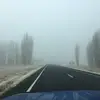 Ginger_Shawwty - @ginger_shawwty - TikTok