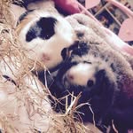 Silver_ginger - @silver_ginger_1234 - Instagram