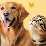 Toetu - @ginger_silver_toetu - Instagram