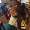 Ginger Snapp - @gingersnapp47 - TikTok