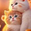 Ginger spicy - @user1617574612407 - TikTok