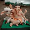Raju_Mandal - @ginger.spivey - TikTok