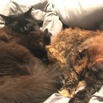 Ginger Stanley - @stan_n_ginger - Instagram