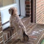 Ginger Stanley - @edsgirl601 - Instagram
