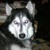 Ginger Wise Stanley Hecker - Facebook
