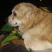 Ginger Stinson - Facebook
