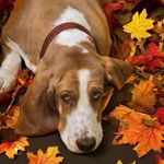 Ginger Stinson - @gin_stin_2002 - Instagram