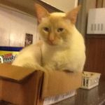 Ginger Stokes - @gingers57 - Instagram