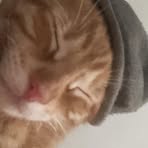 Ginger Strange - Facebook