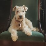 Ginger Sweet Kennedy - @gingerdiva3 - Instagram