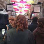 Tierney - @ginger_of_our_discontent - Instagram