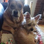 Ginger Tuttle - @tuttle2898 - Instagram