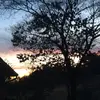 GingerTurtle - @ginger._.dividedbyturtle - TikTok