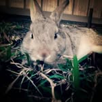 ginger_ward - @gingerward25 - Instagram