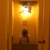 Ginger Weaver - @ginger.weaver - TikTok