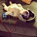 Ginger Wheelock - Facebook