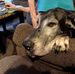Ginger Whitley - Facebook