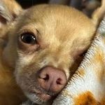Ginger Whitley - @ginger_whitley - Instagram