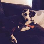 Ginger Willard - @gingerwillard76 - Instagram