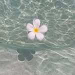 @___gingerwood - Instagram