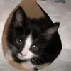 Ginger Wood - @ginger.wood - TikTok