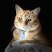 Ginger Wyatt - Facebook