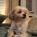 Ginger Ziegler - Facebook