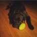 Gingi Rochelle - Facebook
