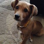 Ginny Bailey - @ginnybailey325 - Instagram