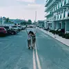 ginnybailey - @ginnyb65 - TikTok