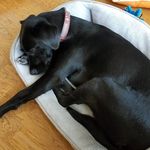 Ginny Bean - @ginnythebean - Instagram