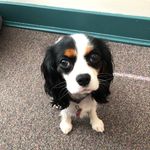 Ginny Bean - @ginnybeangram - Instagram