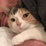 Ginny Bean (小豆) - @ginny_bean_xiao_dou - Instagram