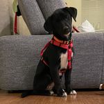 Ginny Bean Cloutier - @babybean_ginny - Instagram
