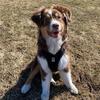 ginnybean - @ginnybeantheaussie - TikTok
